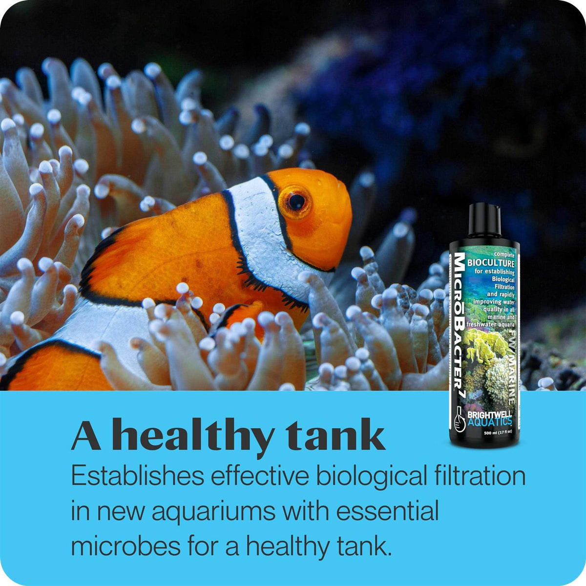 1 Liter MicroBacter7 F3690