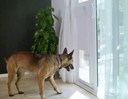 Large Electronic Dog Door for Patio Doors N33155