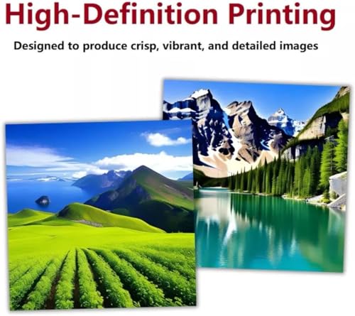 DTF Printer Set of 4 Ink K2083