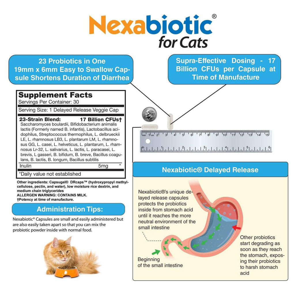 Probiotics Powder for Cats with Saccharomyces Boulardii Lactobacillus Acidophilus W9173