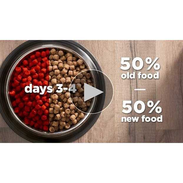 Chicken Dry Cat Food Y331923
