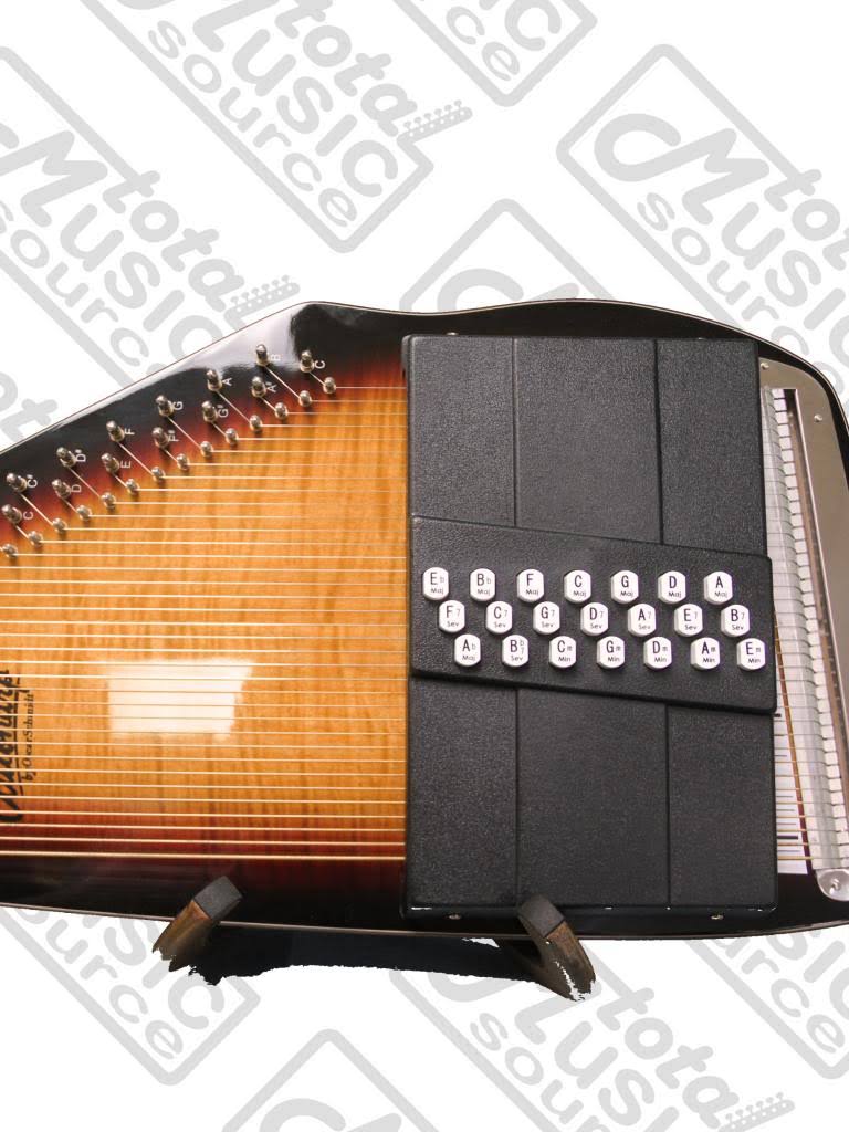 Acoustic Electric Auto Harp B74651
