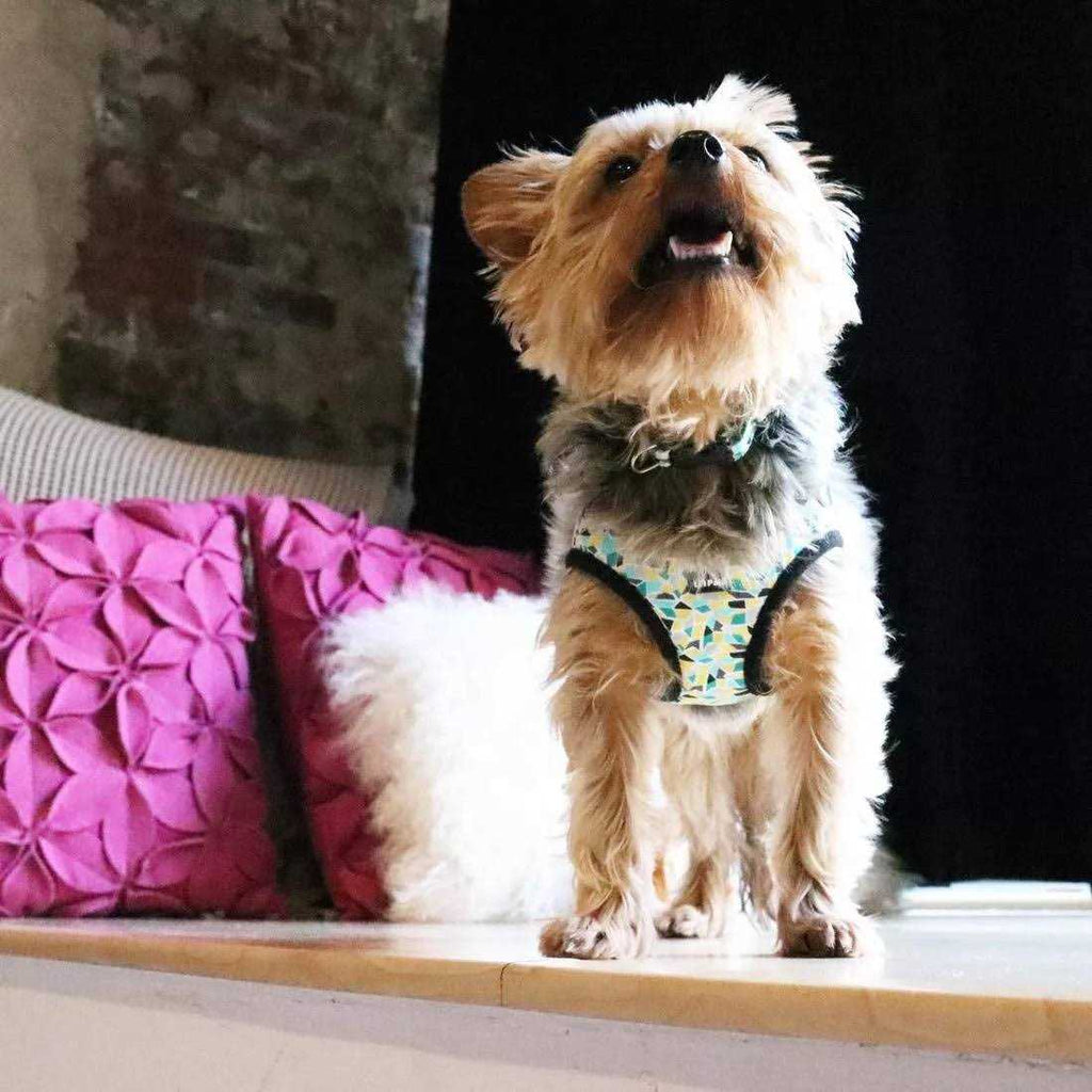 Canvas Dog Harness X980