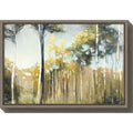Canvas Art Framed Aspen Reverie L612398