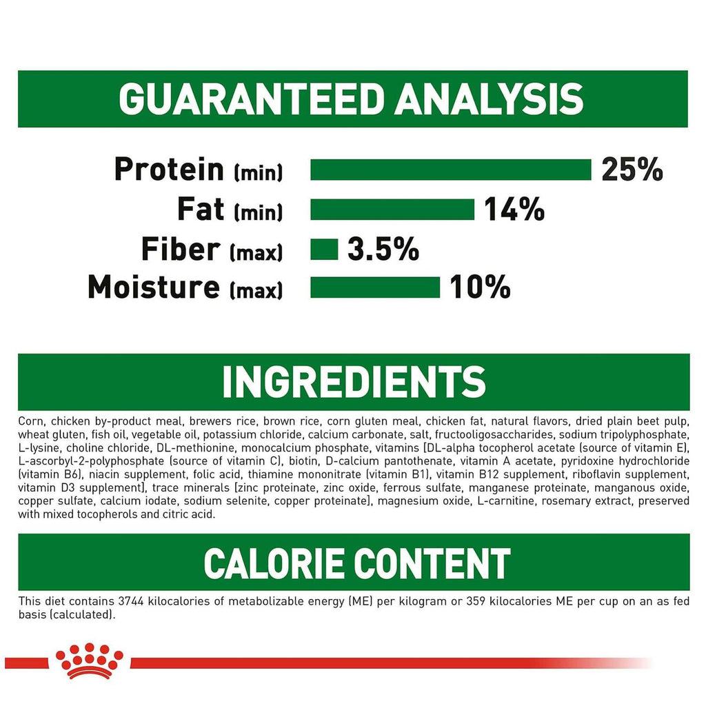Dry Dog Food B6877