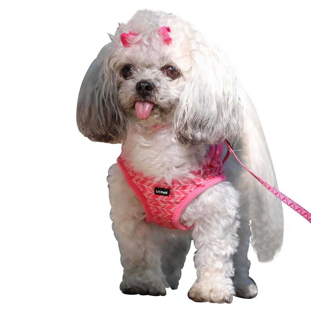 Canvas Dog Harness X980