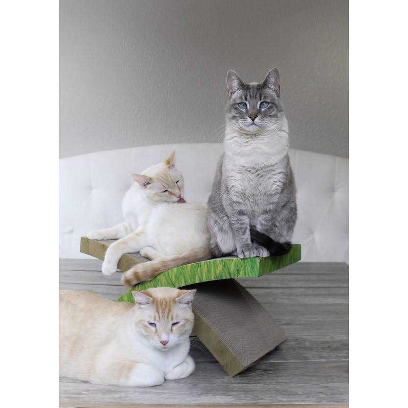 Cat Scratcher Q22011