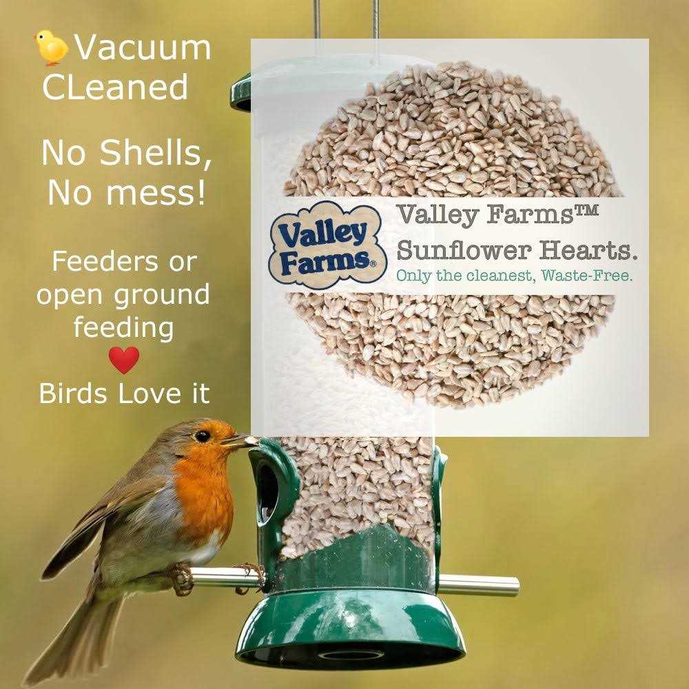 Sunflower Hearts Wild Bird Food B817