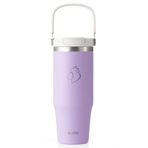 30 oz Insulated Stainless Steel Tumbler with Handle, Lid and Straw G889