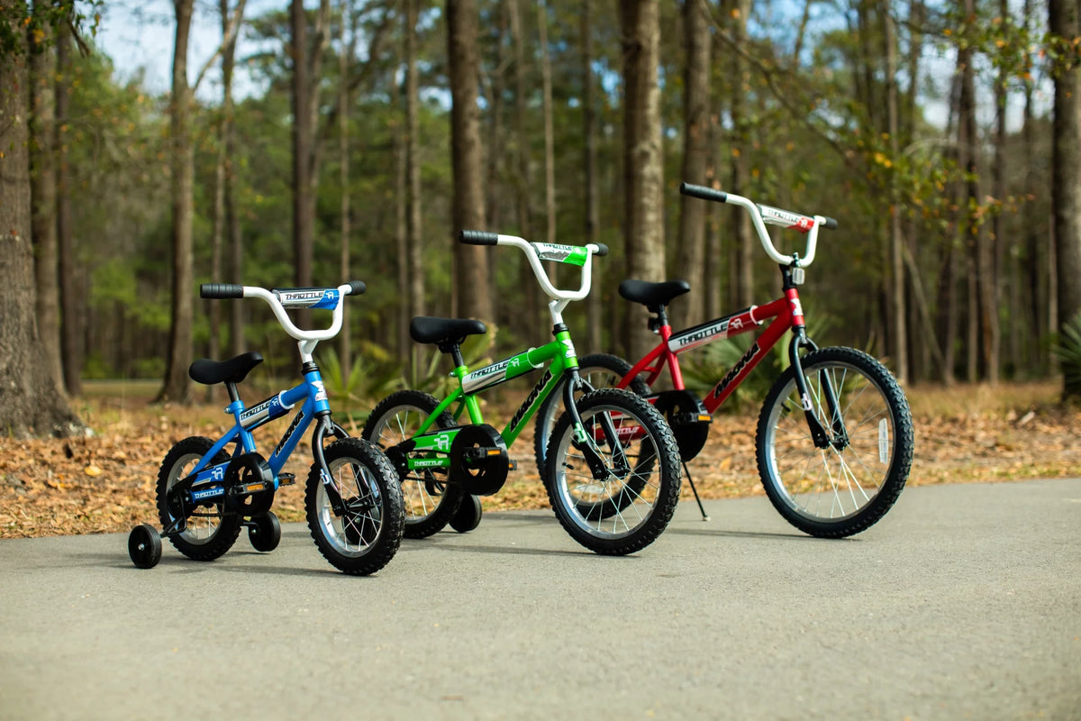 20-Inch BMX Bike O6184