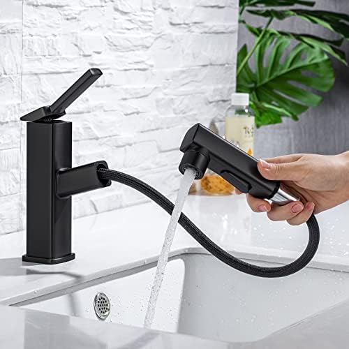 Single Hole Pull Out Bathroom Faucet with Rotating Spout X180