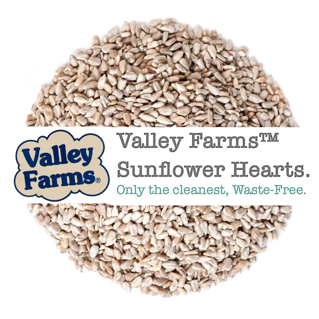Sunflower Hearts Wild Bird Food B817