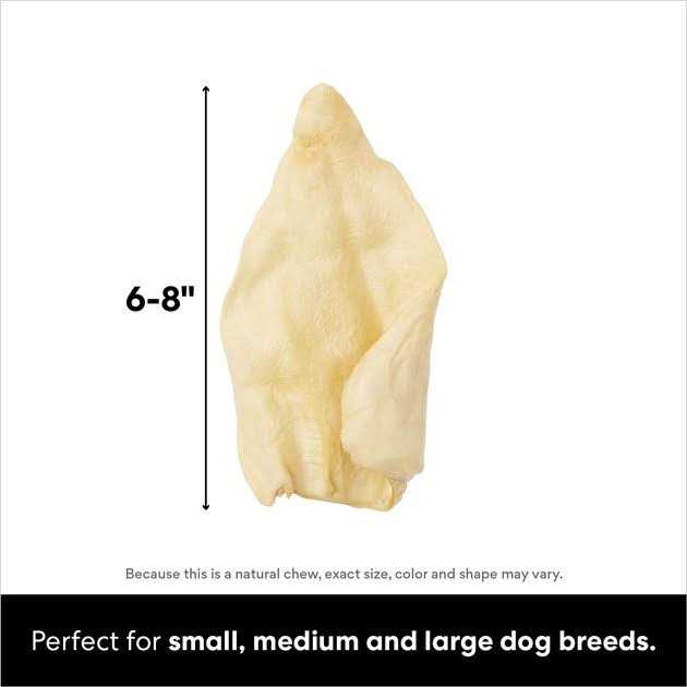 Water Buffalo Ear Chews Dog Treats T13273
