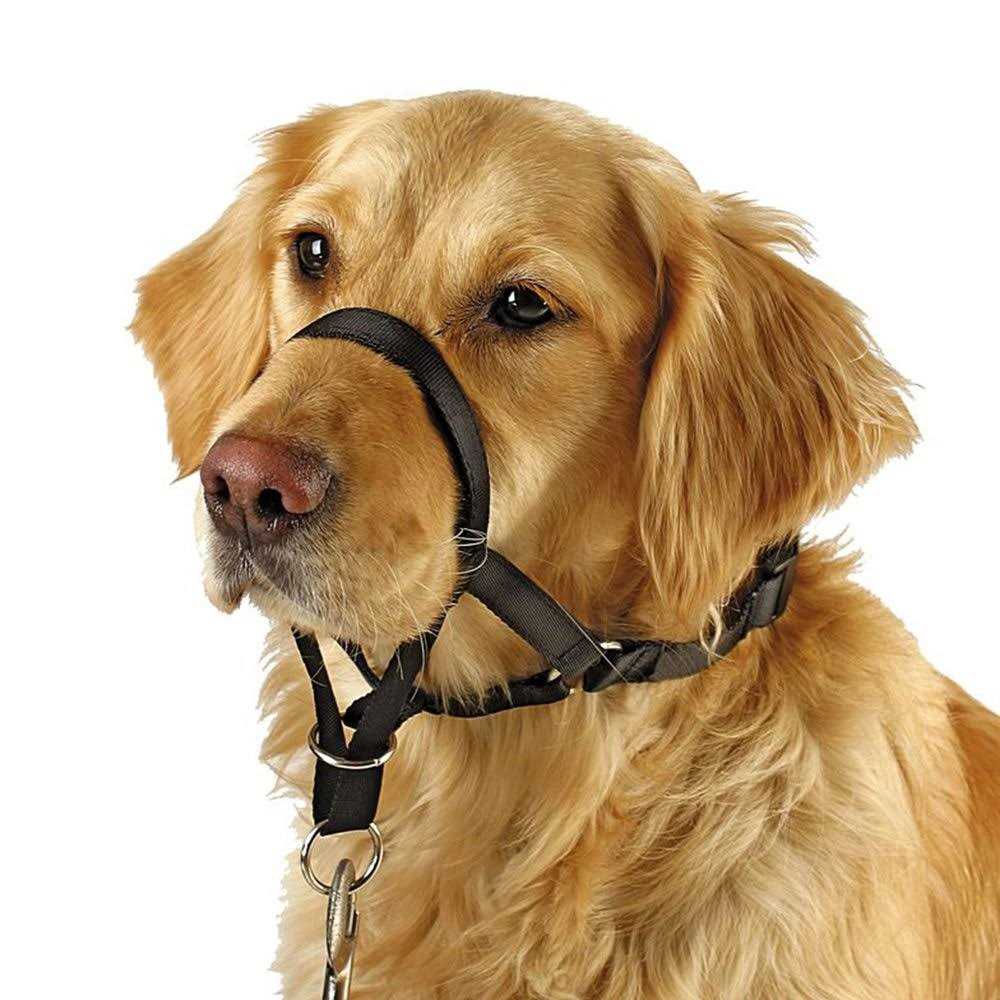 Dog Head Collar No Pull Training Tool F538733