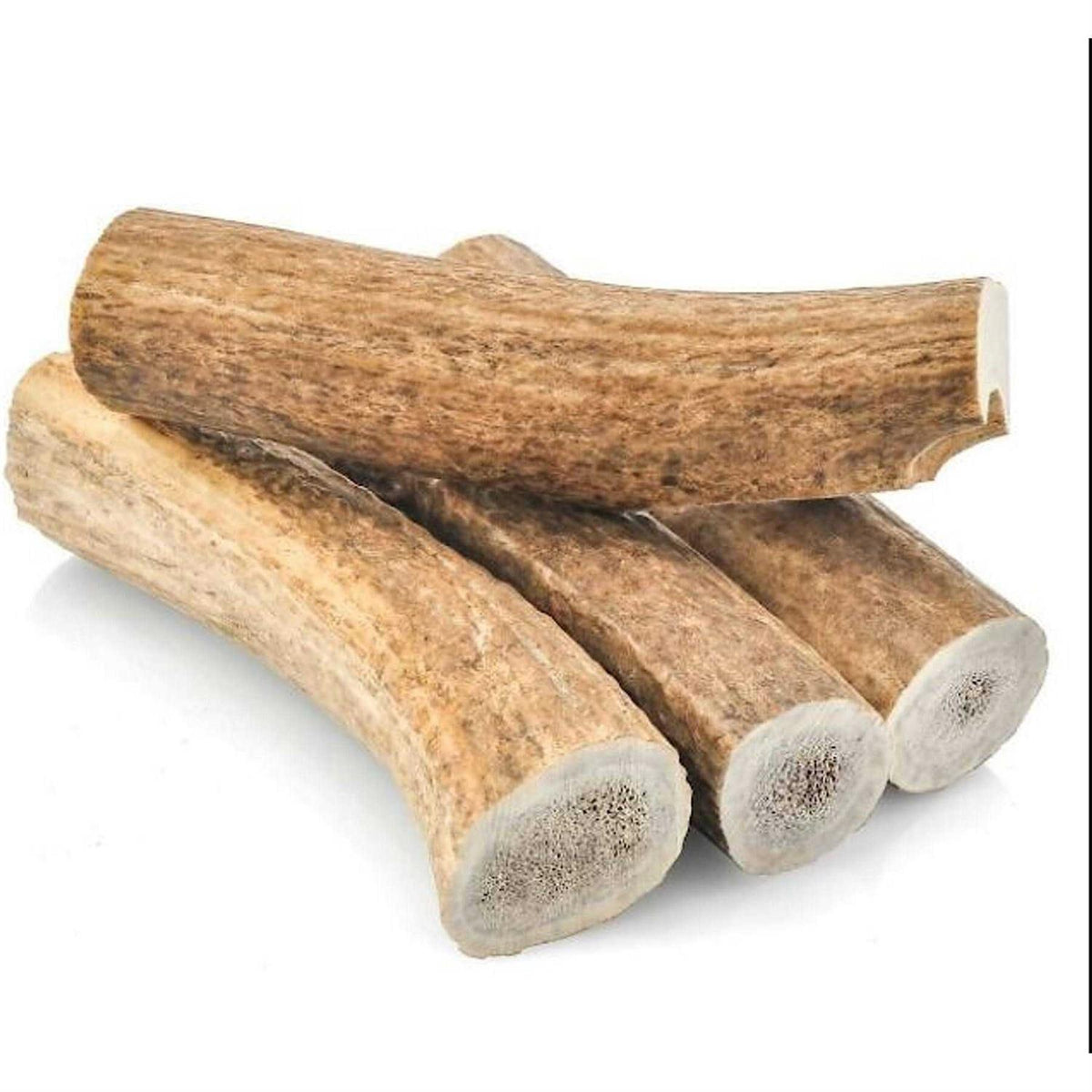 All Natural Large Whole Elk Antler Dog Chew H880778