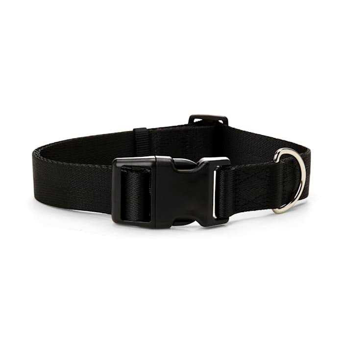 Adjustable Dog Collar T122689