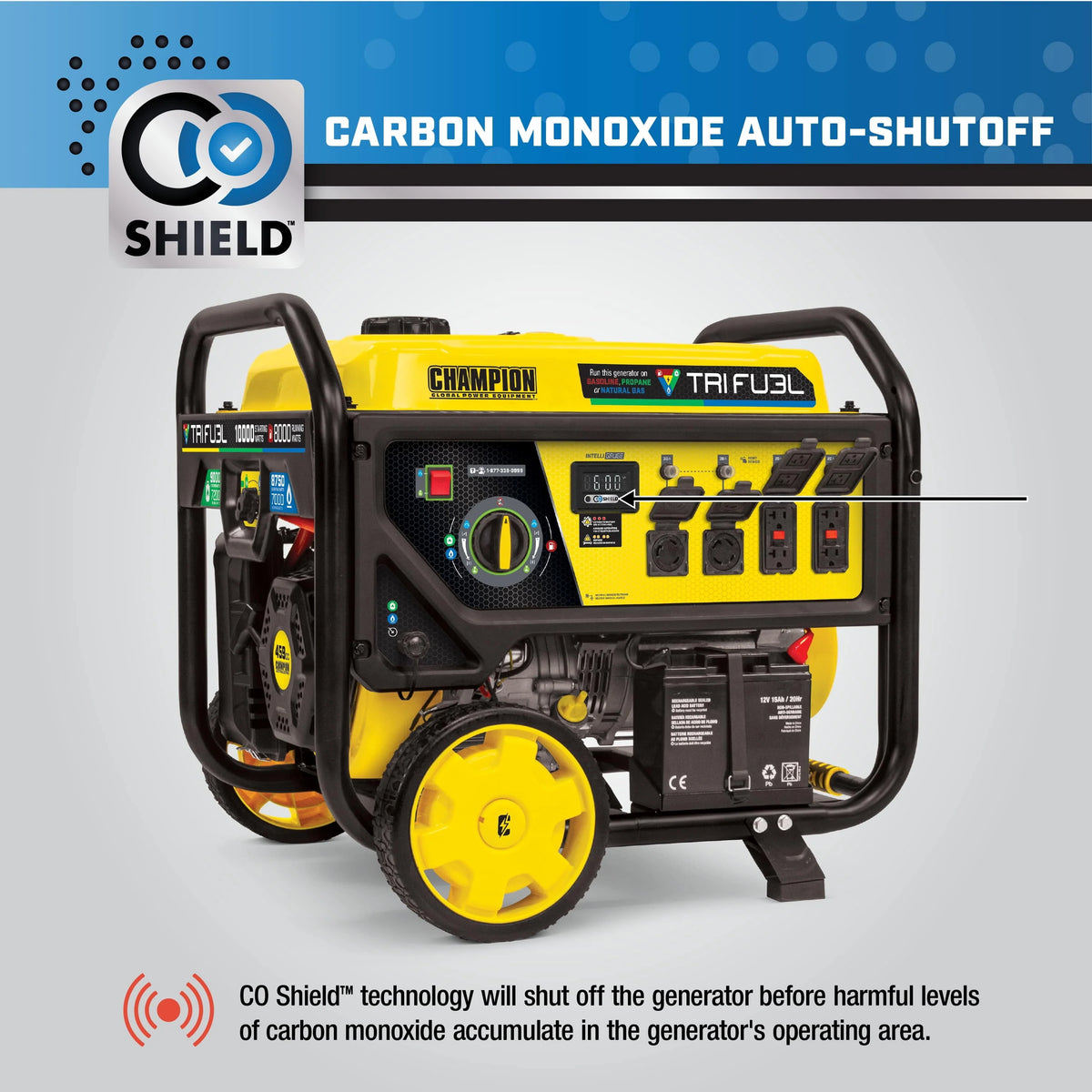 8000-Watts Tri-Fuel Portable Natural Gas Generator with Electric Start E62370