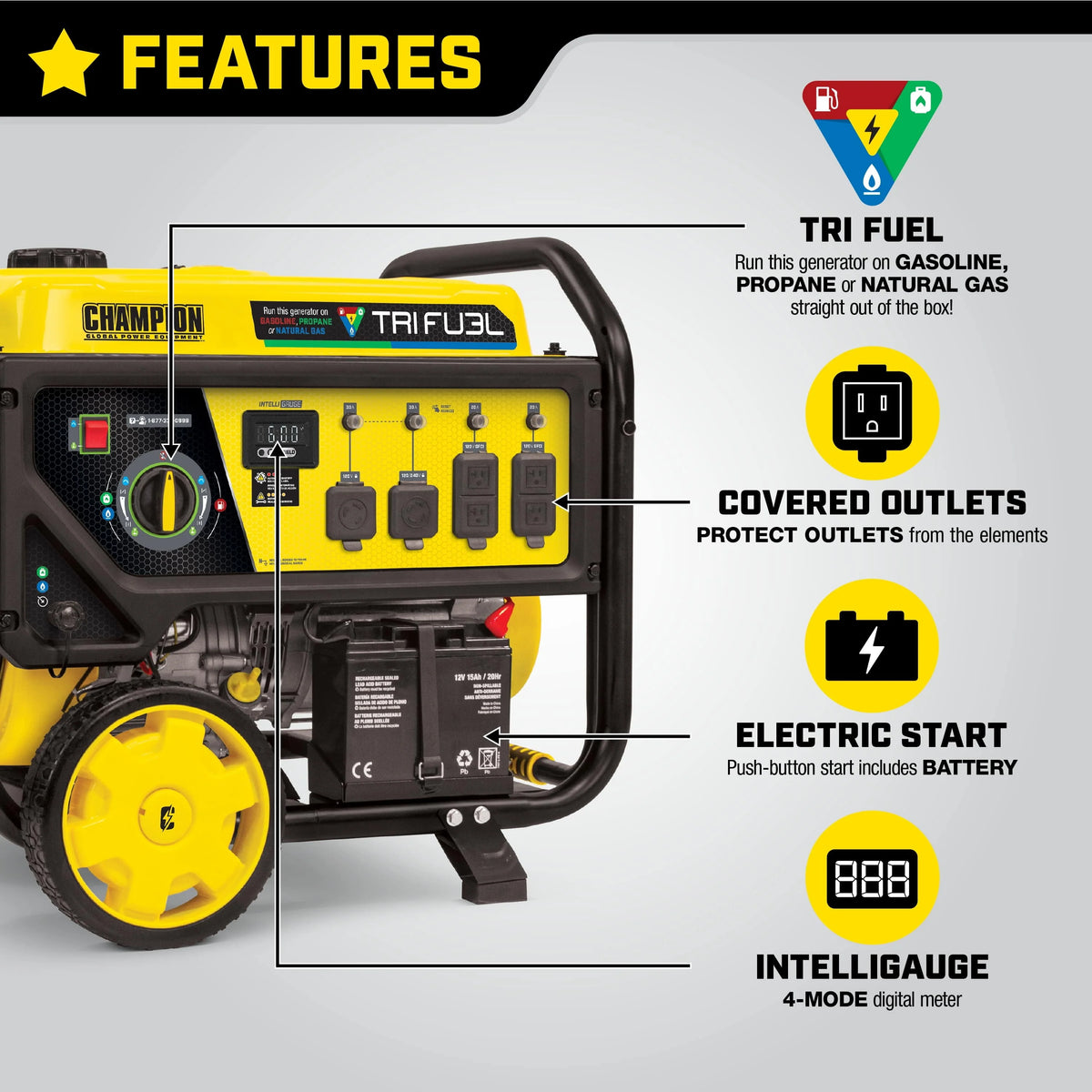 8000-Watts Tri-Fuel Portable Natural Gas Generator with Electric Start E62370