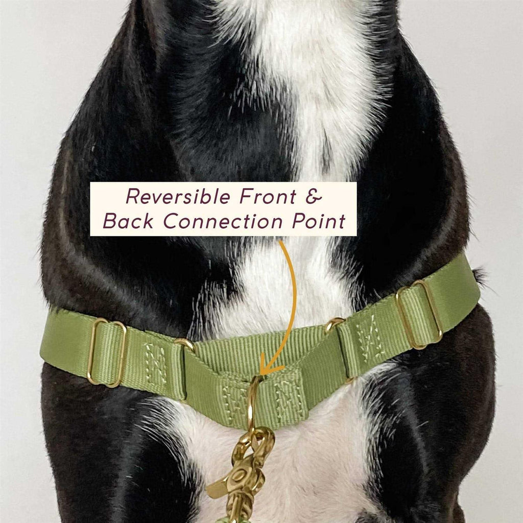 Harness Q110164