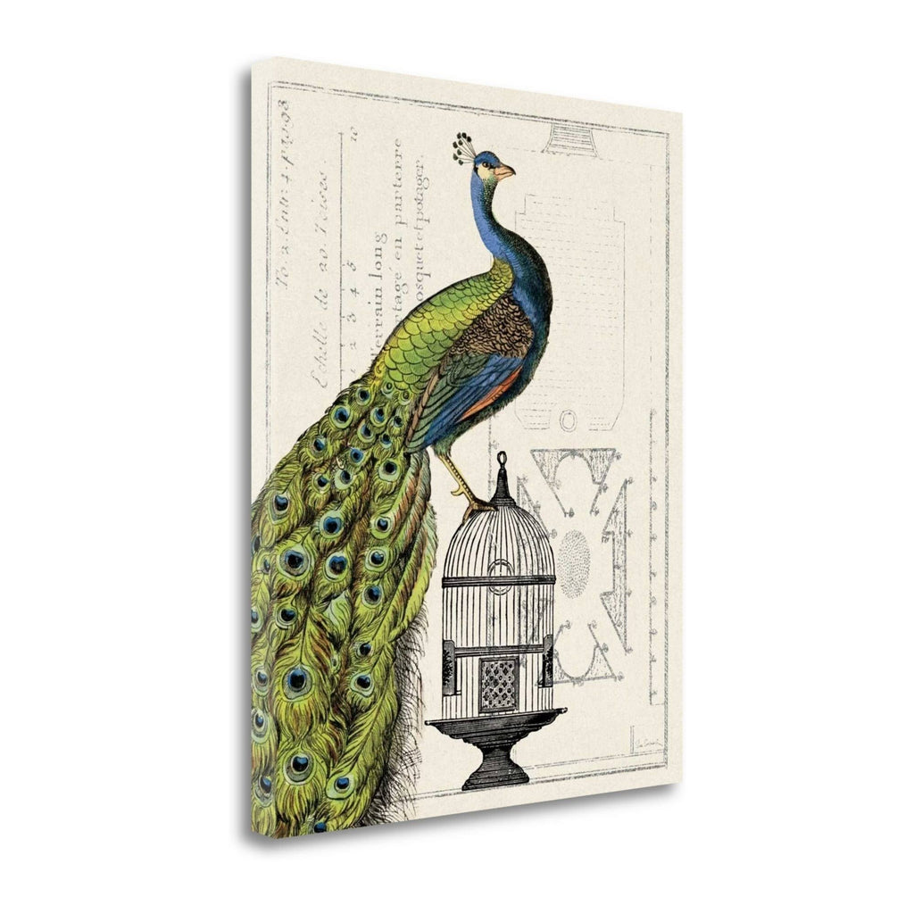 Peacock Birdcage Fine Art Giclee Print N15831
