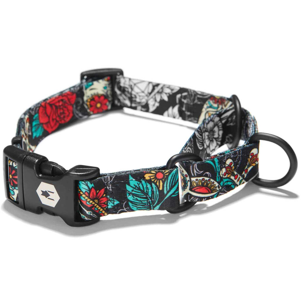Dog Collar U4499
