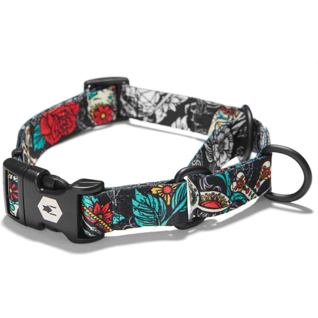 Dog Collar U4499
