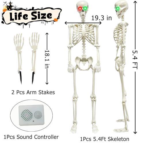 Life Size Posable Skeleton with Glowing Eyes and Sound M86231