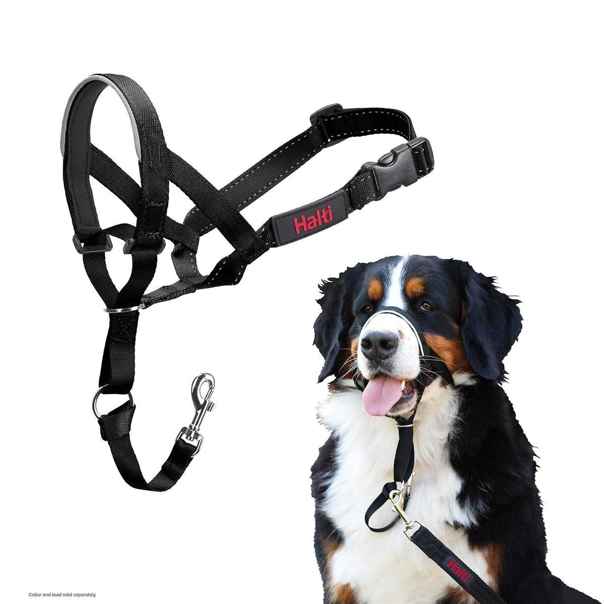 Headcollar V9737