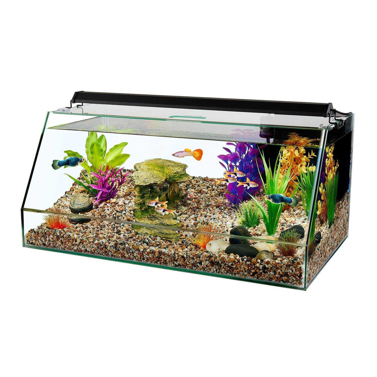 Aquarium E72165