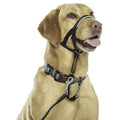Headcollar V9737