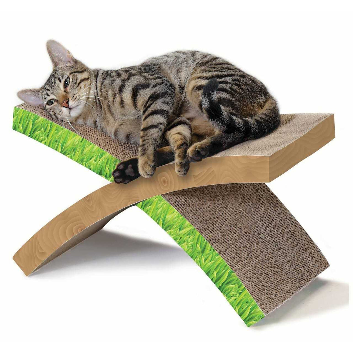 Cat Scratcher Q22011