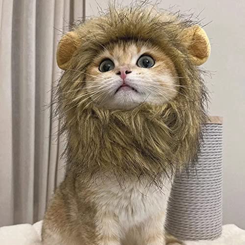 Brown Cat Wig R468