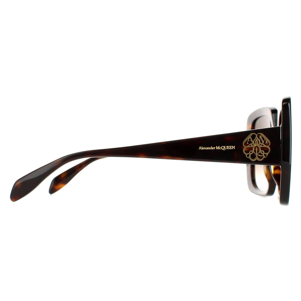 Tortoise Brown Gradient Sunglasses T593