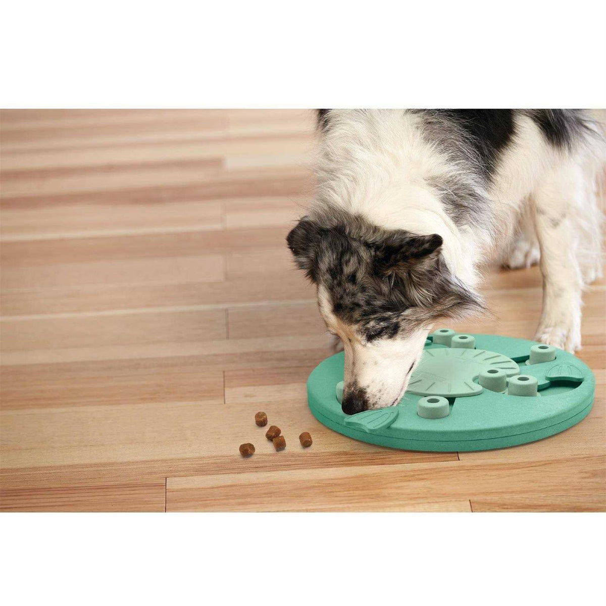 Interactive Puzzle Dog Toy K3501