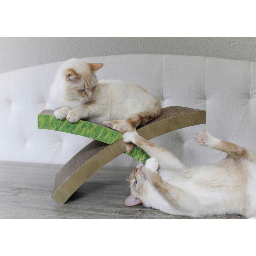 Cat Scratcher Q22011