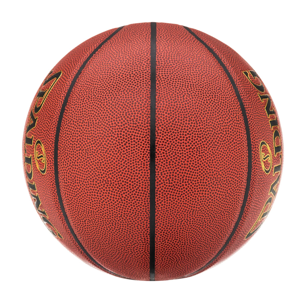 Indoor and Outdoor Basketballs 29.5 In. X425554