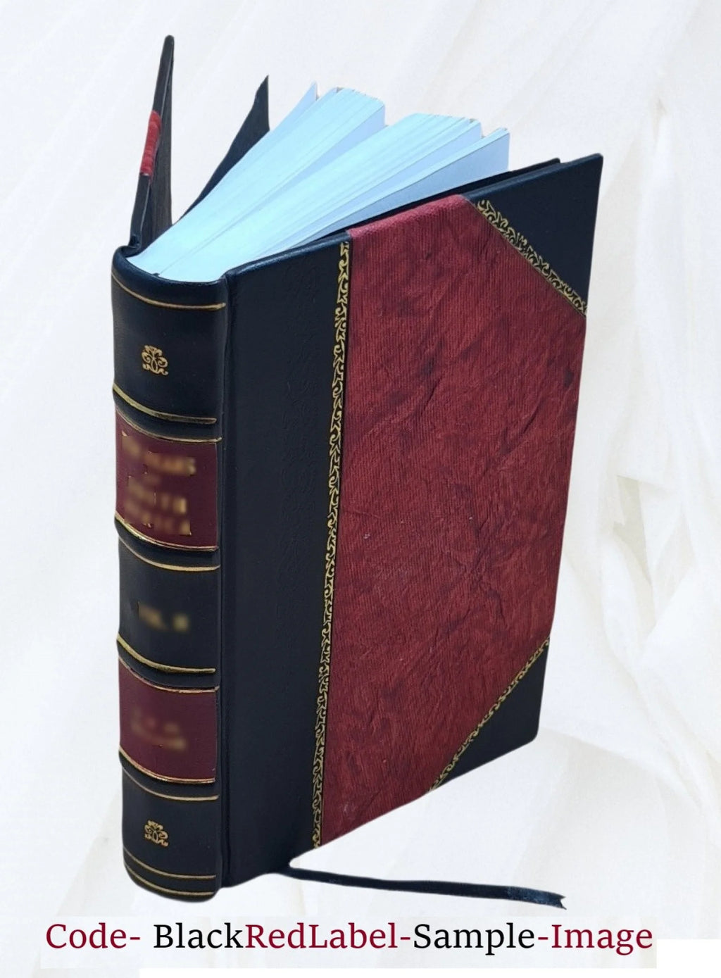 Leather Bound Book V668785