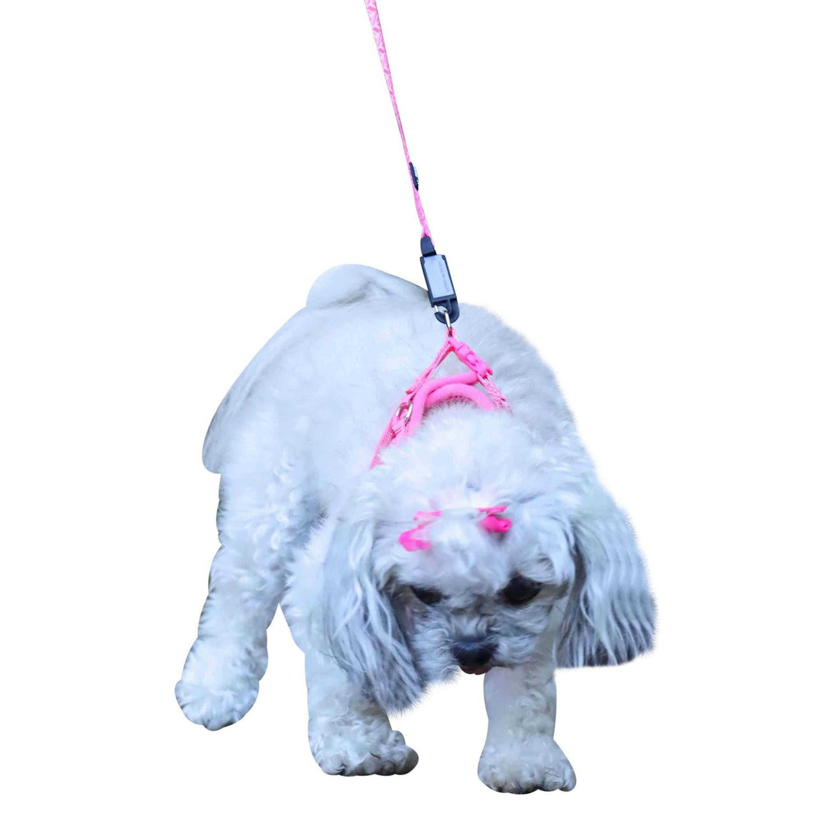 Canvas Dog Harness X980